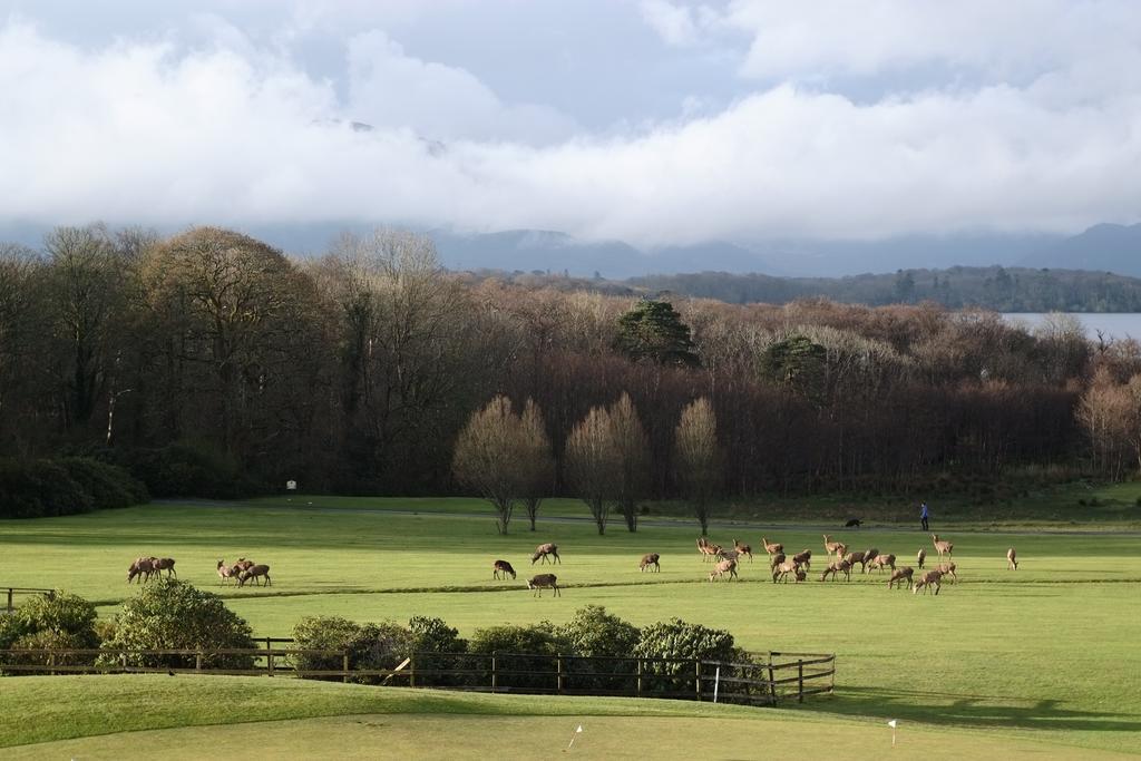 Castlerosse Park Resort Killarney Luaran gambar